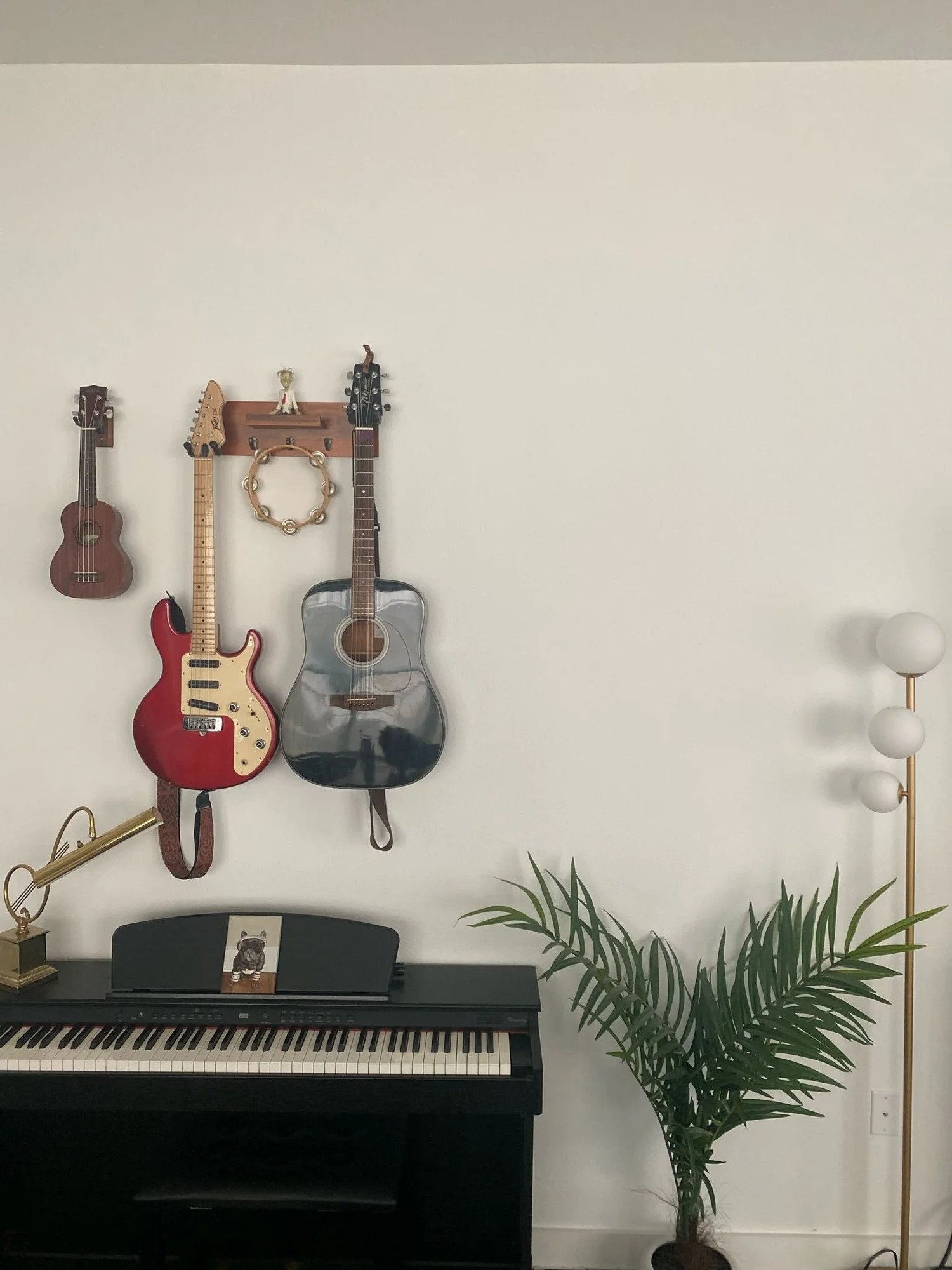 Guitars and instruments mounted on wall