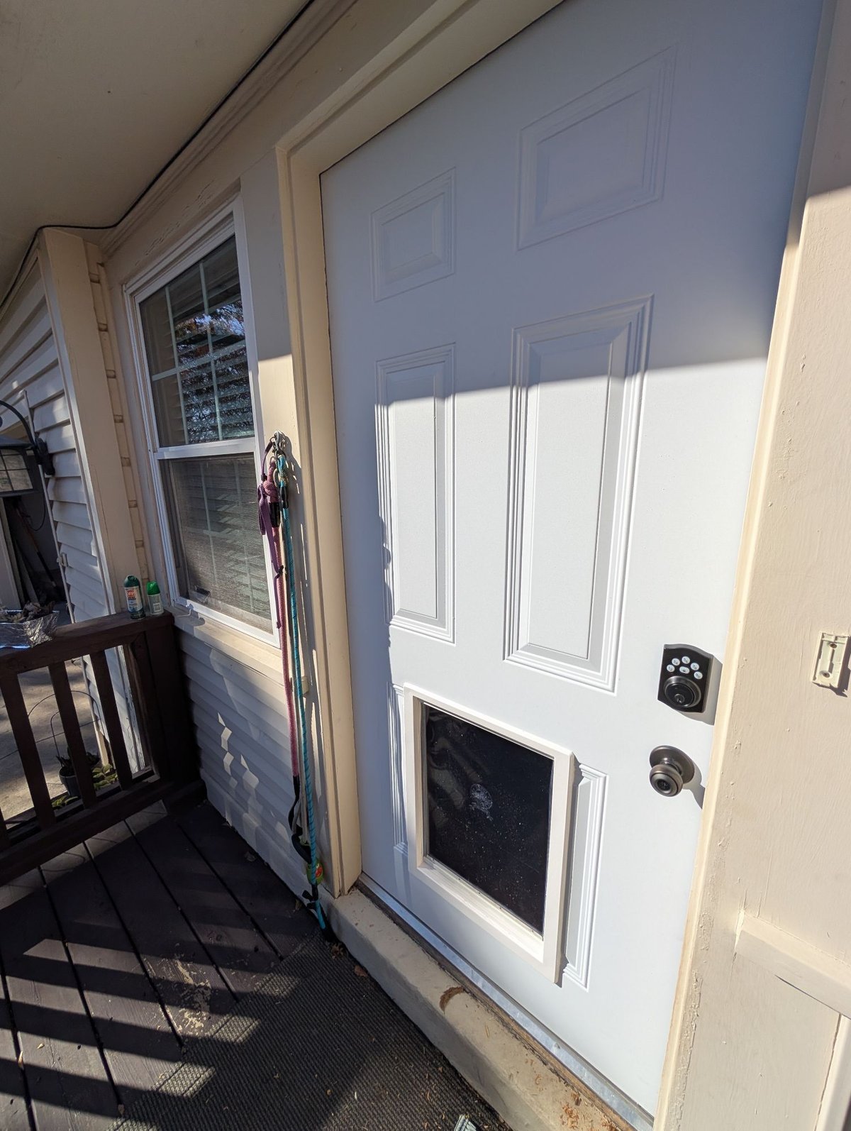 Pet door installed in exterior door in Dallas